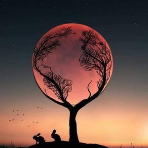 Meet your Posher, Christie